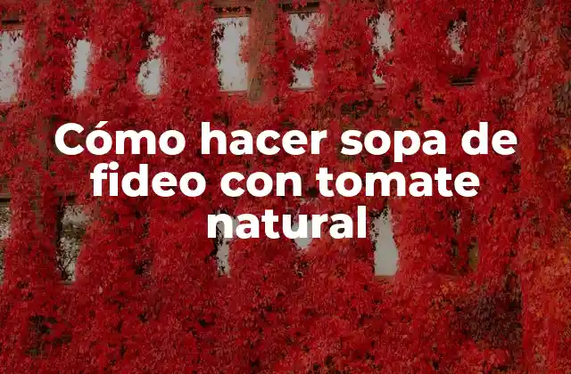 Cómo Hacer Sopa de Fideo con Tomate Natural