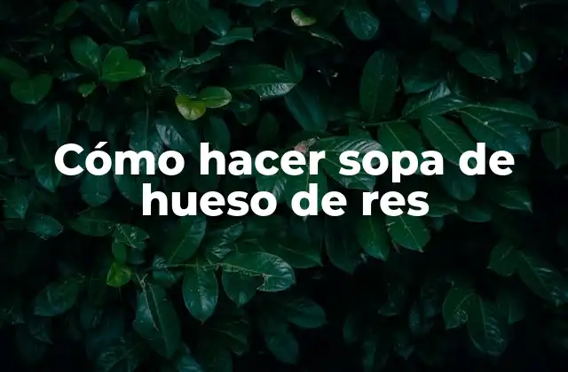 Cómo Hacer Sopa de Hueso de Res