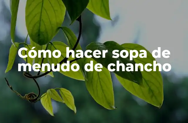 Cómo Hacer Sopa de Menudo de Chancho