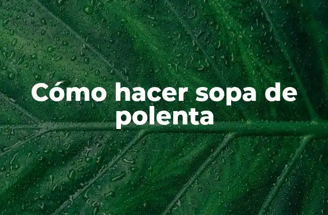 Cómo Hacer Sopa de Polenta 2 La polenta y su importancia en la cocina