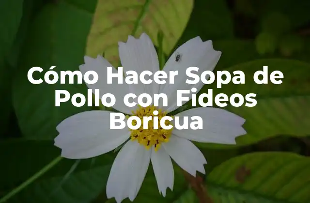 Cómo Hacer Sopa de Pollo con Fideos Boricua