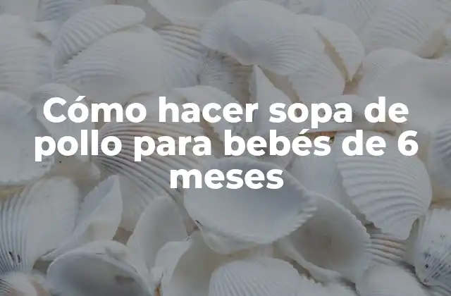 Cómo Hacer Sopa de Pollo para Bebés de 6 Meses