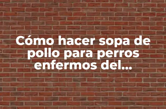 Cómo Hacer Sopa de Pollo para Perros Enfermos Del Estómago 2 La sopa de pollo para perros enfermos del estómago: ¿qué es y para qué sirve?