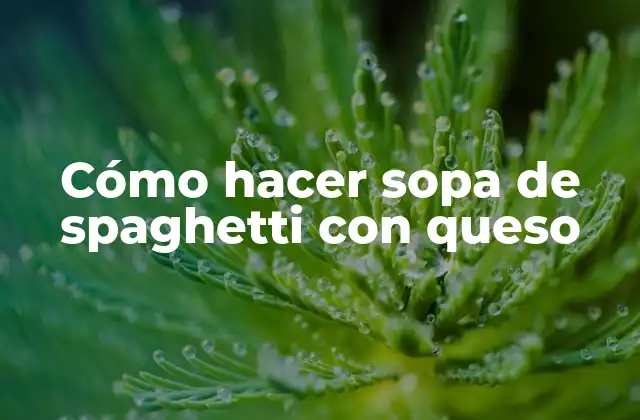 Cómo Hacer Sopa de Spaghetti con Queso