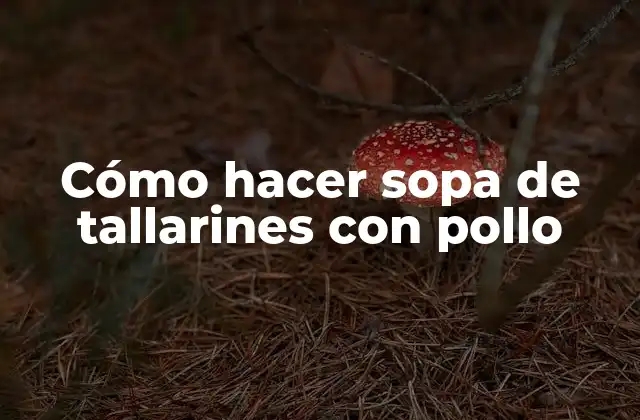 Cómo Hacer Sopa de Tallarines con Pollo