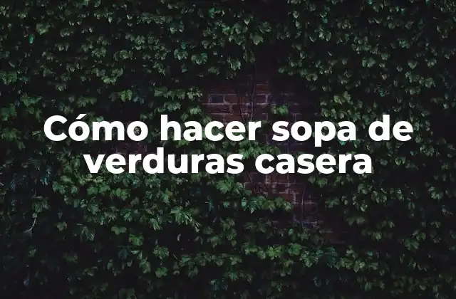 Cómo hacer sopa de verduras casera