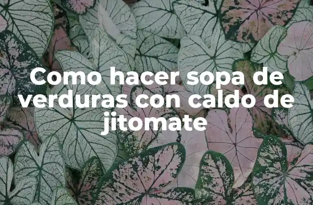 Como Hacer Sopa de Verduras con Caldo de Jitomate