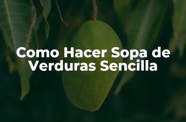 Como Hacer Sopa de Verduras Sencilla