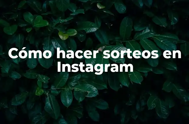 Cómo Hacer Sorteos en Instagram