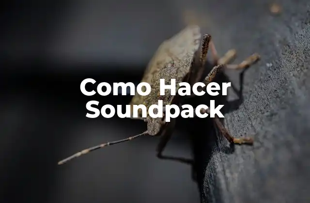 Como Hacer Soundpack