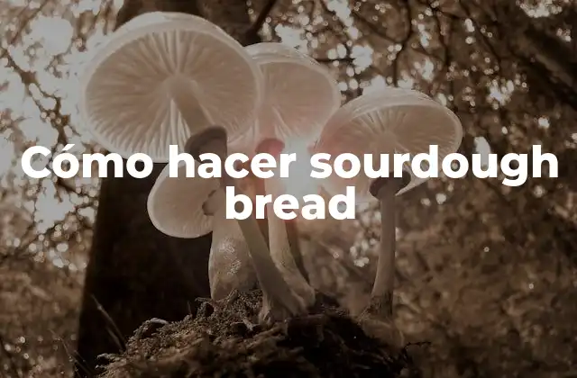 Cómo Hacer Sourdough Bread