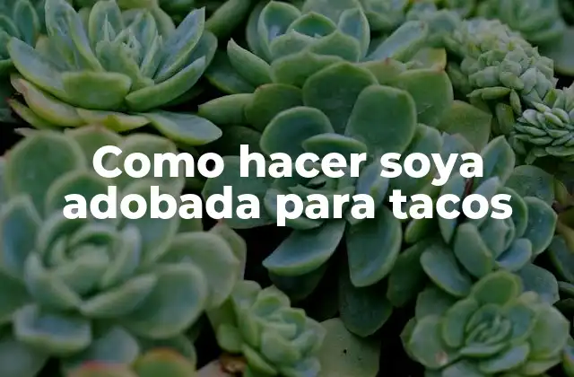 Como Hacer Soya Adobada para Tacos 2 ¿Qué es soya adobada y para qué sirve?