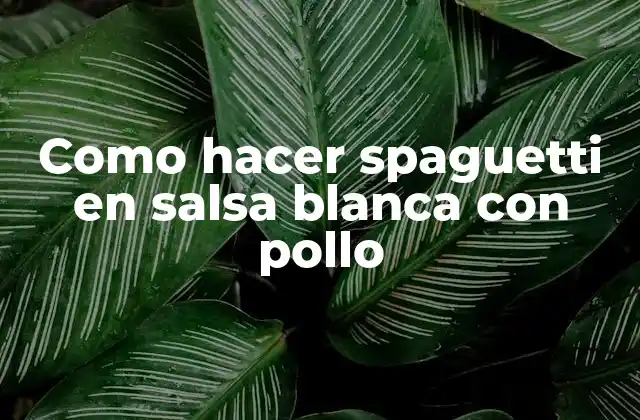 Como Hacer Spaguetti en Salsa Blanca con Pollo