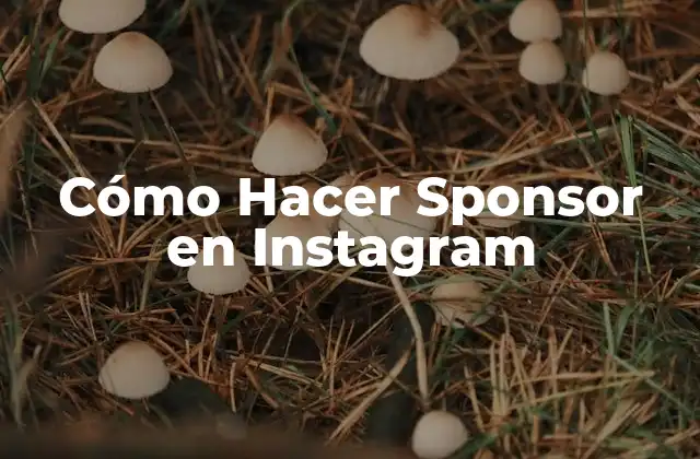 Cómo Hacer Sponsor en Instagram