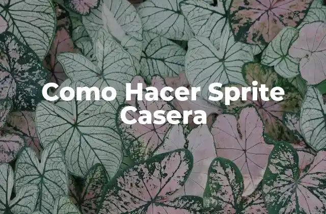Como Hacer Sprite Casera