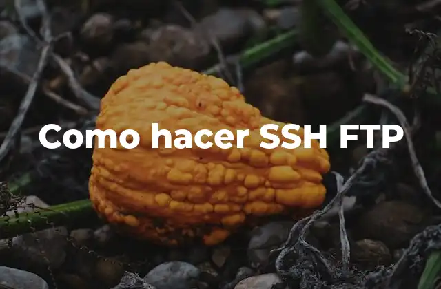 Como Hacer Ssh Ftp
