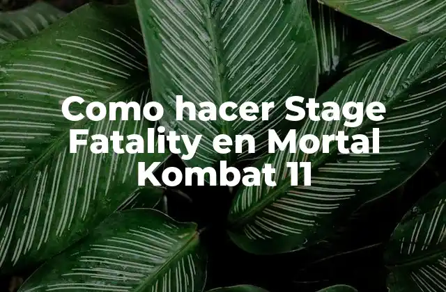 Como Hacer Stage Fatality en Mortal Kombat 11