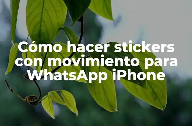 Stickers con movimiento en WhatsApp iPhone