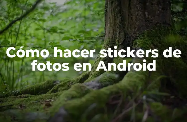 Cómo Hacer Stickers de Fotos en Android