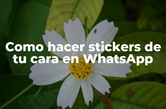 Como Hacer Stickers de Tu Cara en Whatsapp