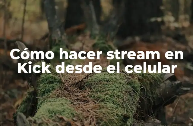 Cómo Hacer Stream en Kick desde el Celular 2 Cómo hacer stream en Kick desde el celular