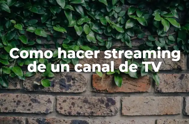 Como Hacer Streaming de un Canal de Tv 2 Como hacer streaming de un canal de TV