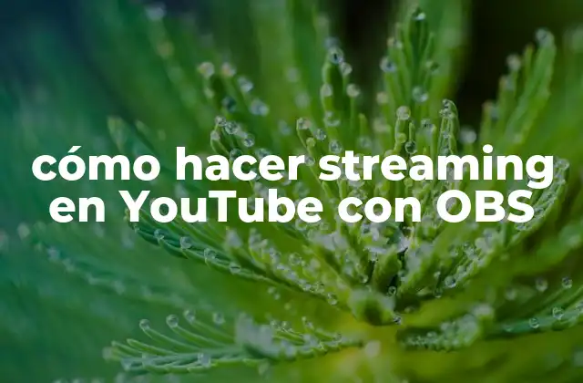 Cómo Hacer Streaming en Youtube con Obs