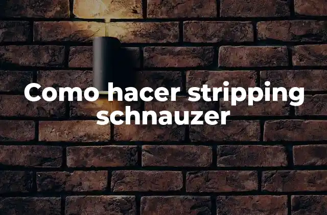 Como Hacer Stripping Schnauzer