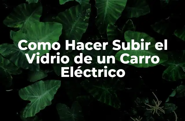 Como Hacer Subir el Vidrio de un Carro Eléctrico