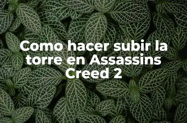 Como Hacer Subir la Torre en Assassins Creed 2