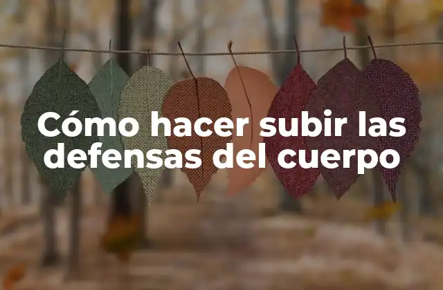 Cómo Hacer Subir las Defensas Del Cuerpo
