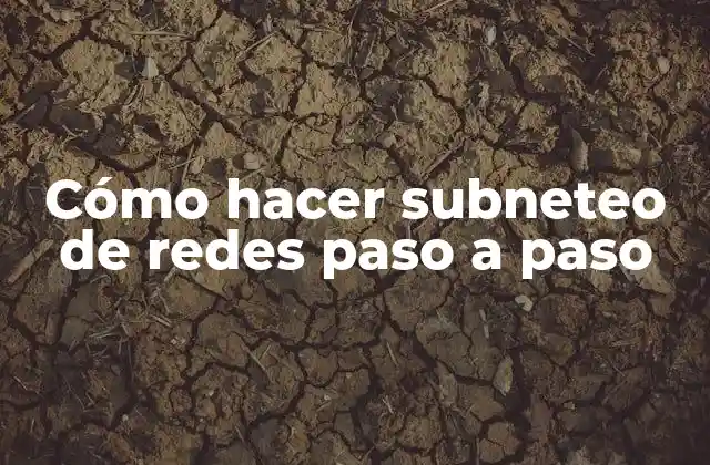 Cómo Hacer Subneteo de Redes Paso a Paso