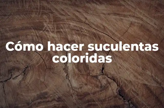 Cómo Hacer Suculentas Coloridas