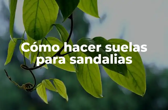 Cómo Hacer Suelas para Sandalias 2 Cómo hacer suelas para sandalias