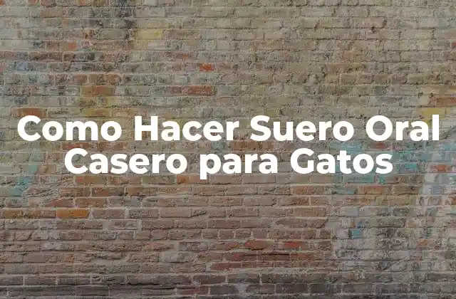 Como Hacer Suero Oral Casero para Gatos