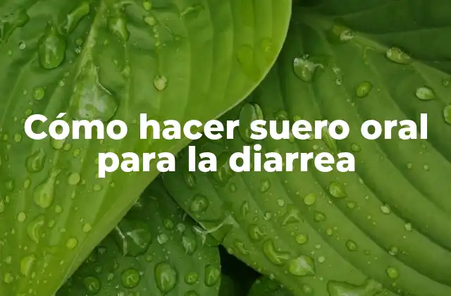 Cómo Hacer Suero Oral para la Diarrea
