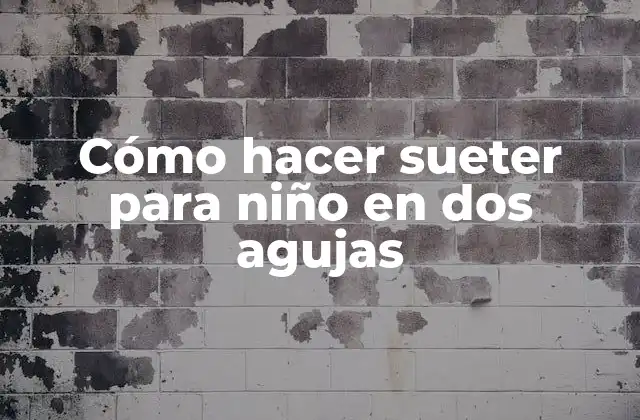 Cómo Hacer Sueter para Niño en Dos Agujas