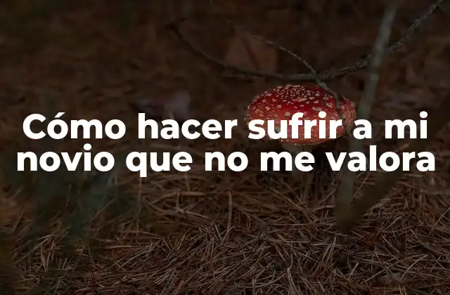 Cómo Hacer Sufrir a Mi Novio que No Me Valora