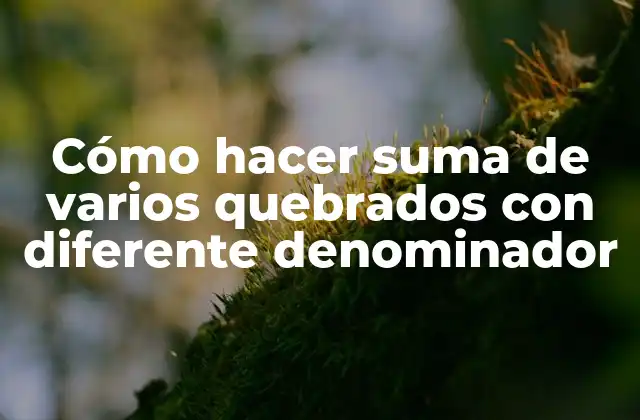 Cómo Hacer Suma de Varios Quebrados con Diferente Denominador