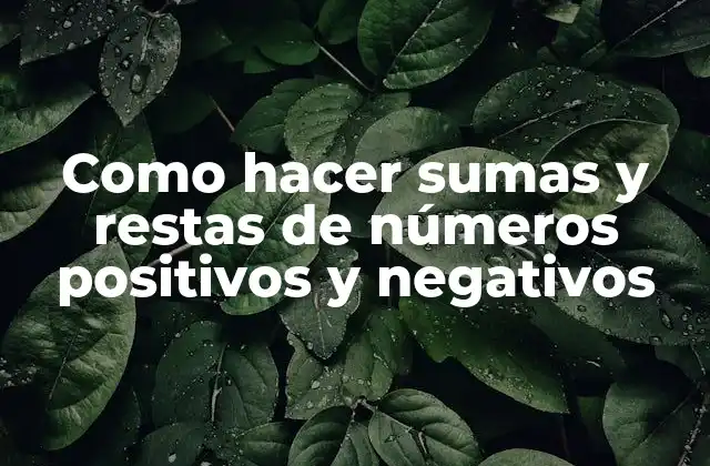 Como Hacer Sumas y Restas de Números Positivos y Negativos