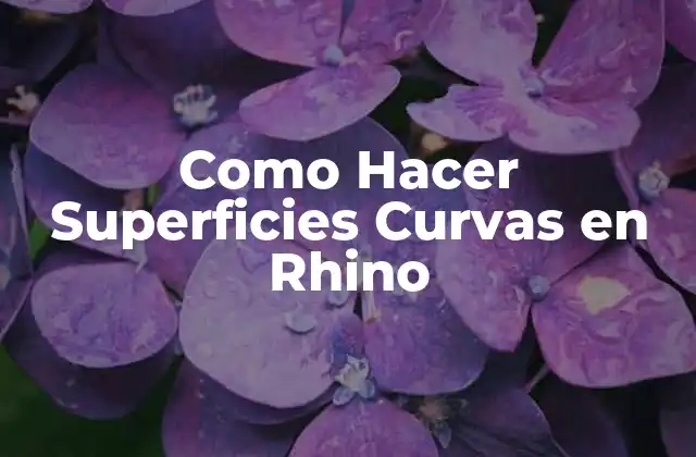 Como Hacer Superficies Curvas en Rhino