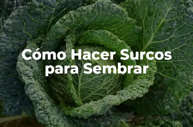 Cómo Hacer Surcos para Sembrar