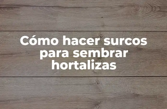 Cómo hacer surcos para sembrar hortalizas
