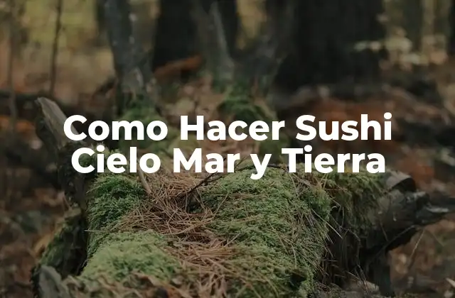 Como Hacer Sushi Cielo Mar y Tierra