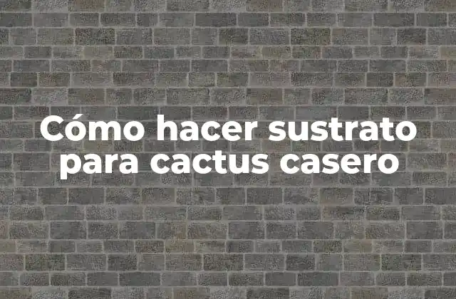 Cómo Hacer Sustrato para Cactus Casero