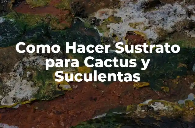 Como Hacer Sustrato para Cactus y Suculentas