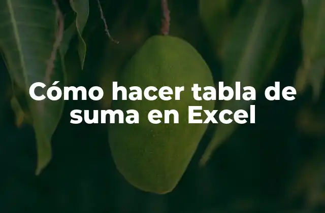 Cómo Hacer Tabla de Suma en Excel