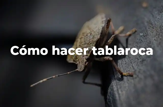 Cómo Hacer Tablaroca