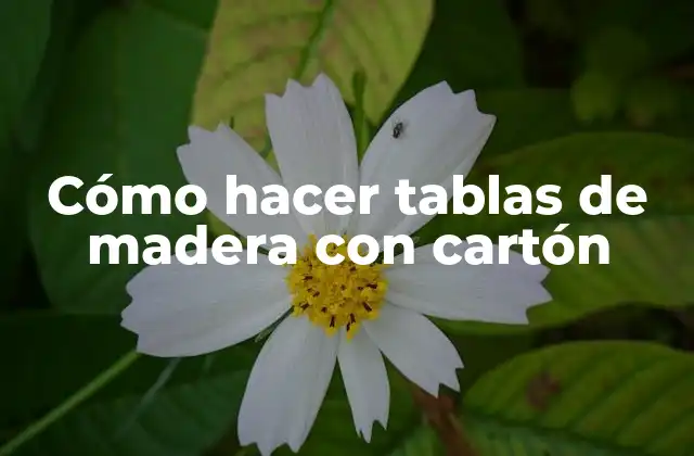 ¿Qué son las tablas de madera con cartón?