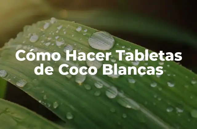 Cómo Hacer Tabletas de Coco Blancas 2 ¿Qué son las Tabletas de Coco Blancas?